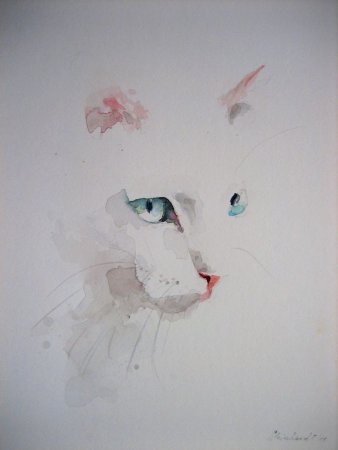 Белый кот акварелью