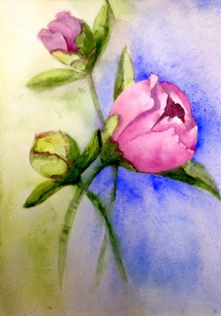 Рисование цветов акварелью