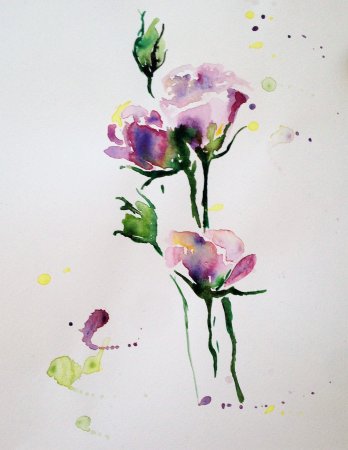 Цветы акварелью для начинающих