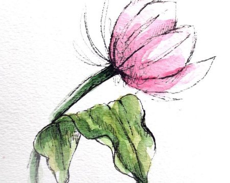 Скетчи растений акварелью