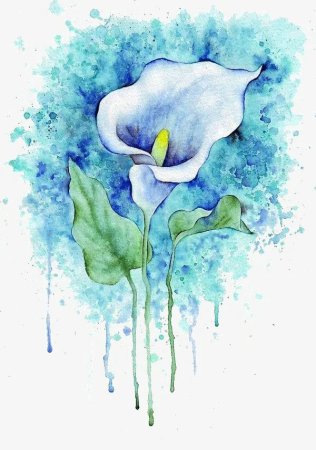 Рисунки цветов акварелью