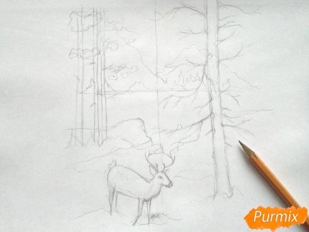 Зимний лес карандашом для начинающих