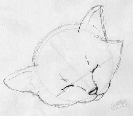 Коты рисунки карандашом для начинающих