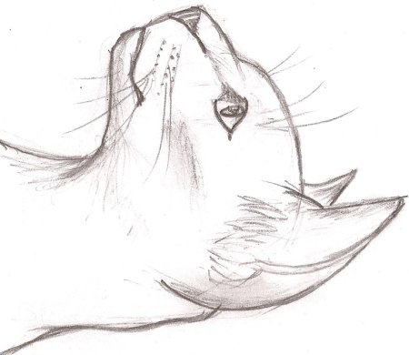 Рисунки карандашом на свободную тему легкие