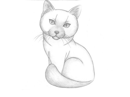 Кошка рисунок карандашом