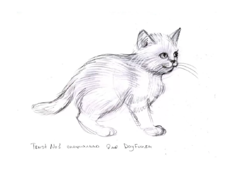 Лёгкие рисунки котят