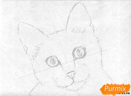Рисунок котёнка карандашом легко