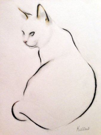 Рисунки котиков для срисовки