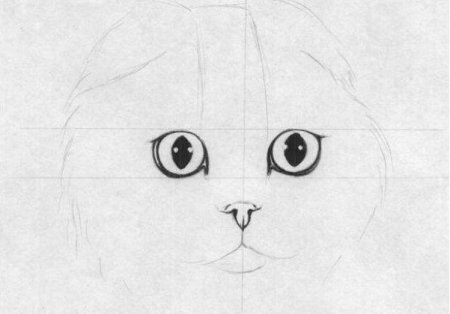 Рисунок кота для срисовки
