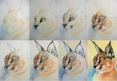 Рисование акварельными карандашами