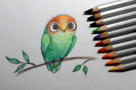 Рисунки разноцветными карандашами