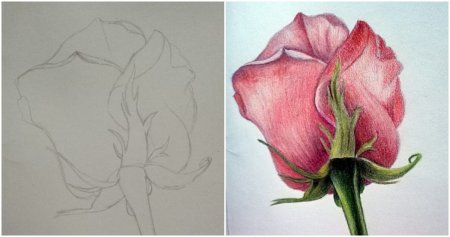 Лёгкие рисунки