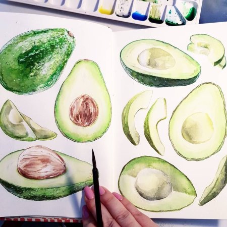 Киви рисунок акварелью