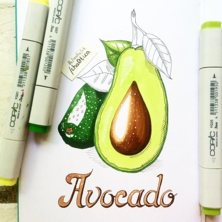 Авокадо скетч акварелью