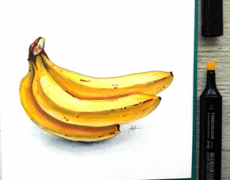 Скетчинг авокадо маркерами