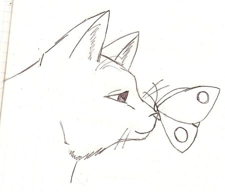 Срисовки карандашом для начинающих