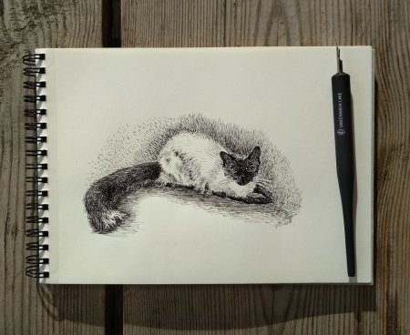 Животные тушью и пером