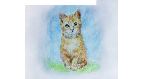 Котенок цветными карандашами