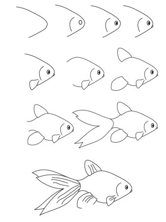 Поэтапное рисование кошки