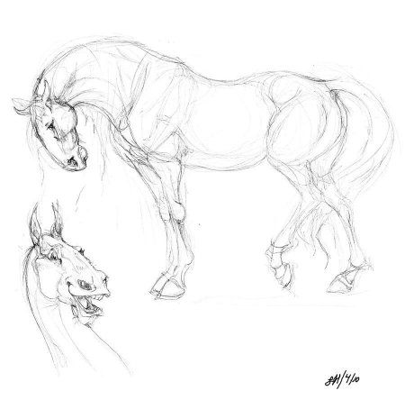 Лошадь рисунок карандашом