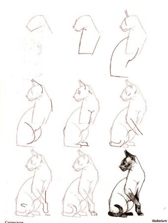 Ли Эймис рисуем 50 животных