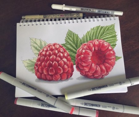 Фрукты маркерами