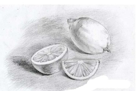 Лимон натюрморт карандашом