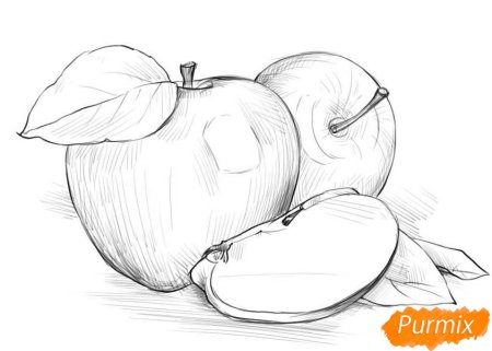 Фрукты карандашом