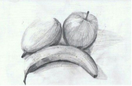 Фрукты простым карандашом