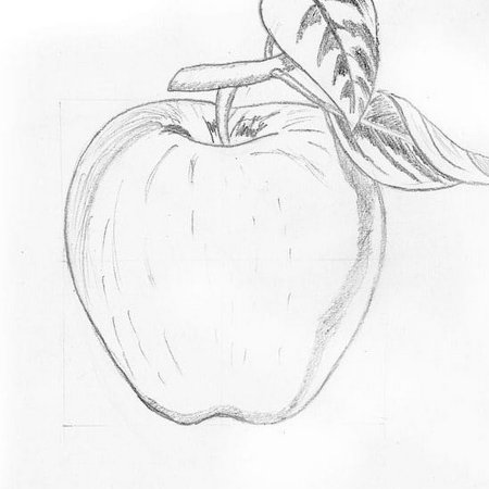 Рисунки для срисовки яблоко