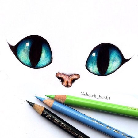 Идеи для рисунков котов