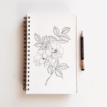 Скетчбук для рисования