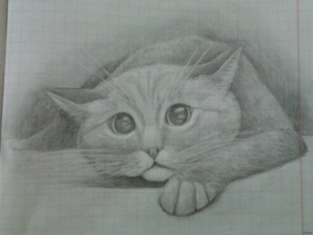 Рисование красками для начинающих