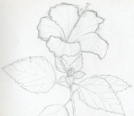 Красивые рисунки для мамы легкие