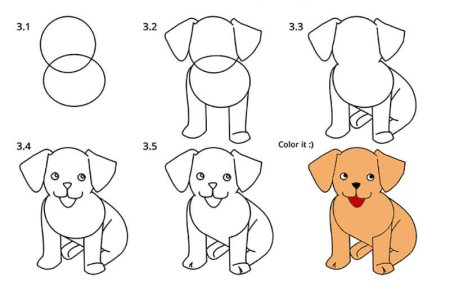 Поэтапное рисование собаки для детей
