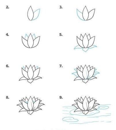 Рисунки для срисовки для начинающих цветы