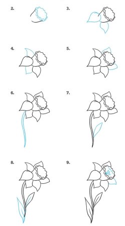 Простые цветы для рисования