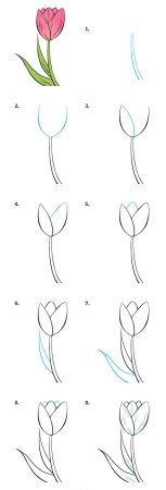 Простые цветы для рисования