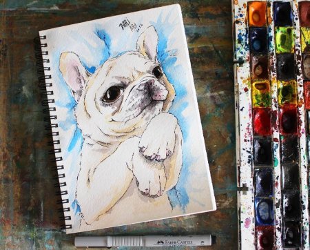 Сова рисунок фломастером