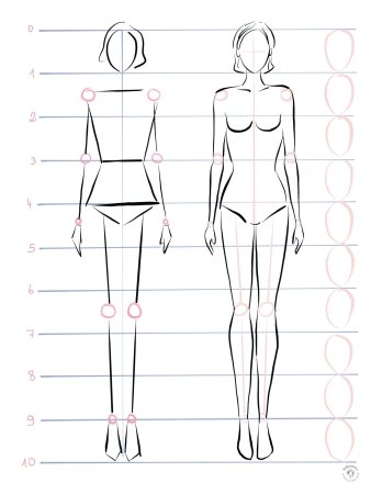 Построение женской фигуры