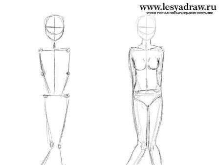 Тело человека карандашом для начинающих