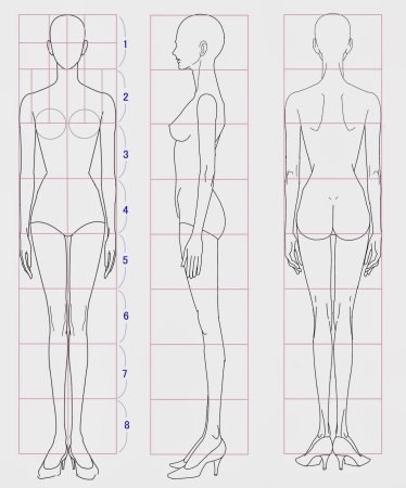 Пропорции женского тела для рисования