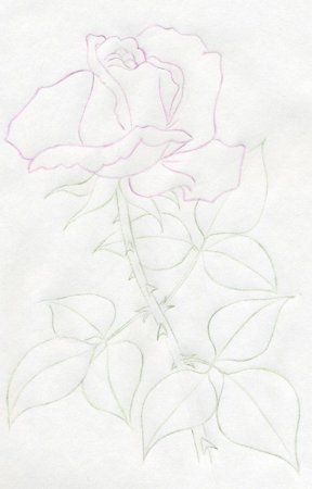 Рисункимики Маусов карадошом