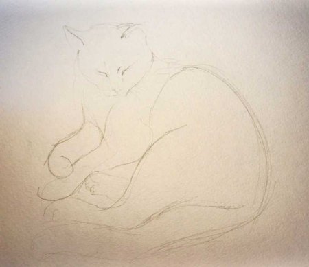 Рисунки на свободную темулегкт