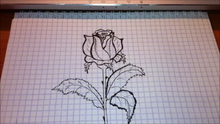 Объёмные рисунки карандашом