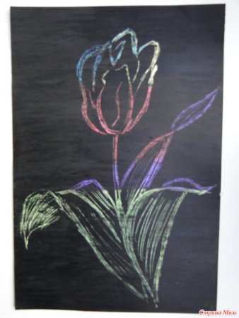 Граттаж тюльпаны