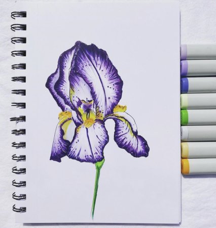 Цветы нарисованные акварелью