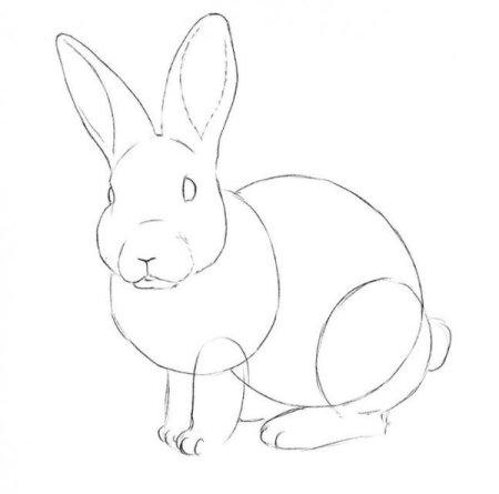 Уроки рисования кролик