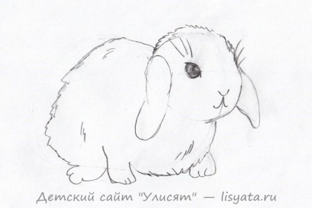 Рисунок кролика карандашом для срисовки легкие