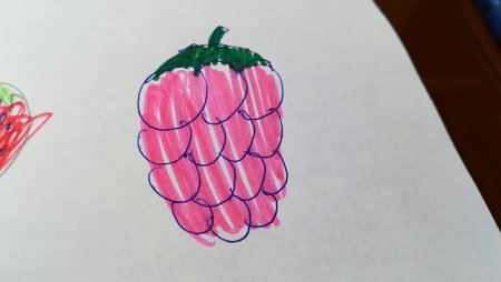 Скетчинг фрукты